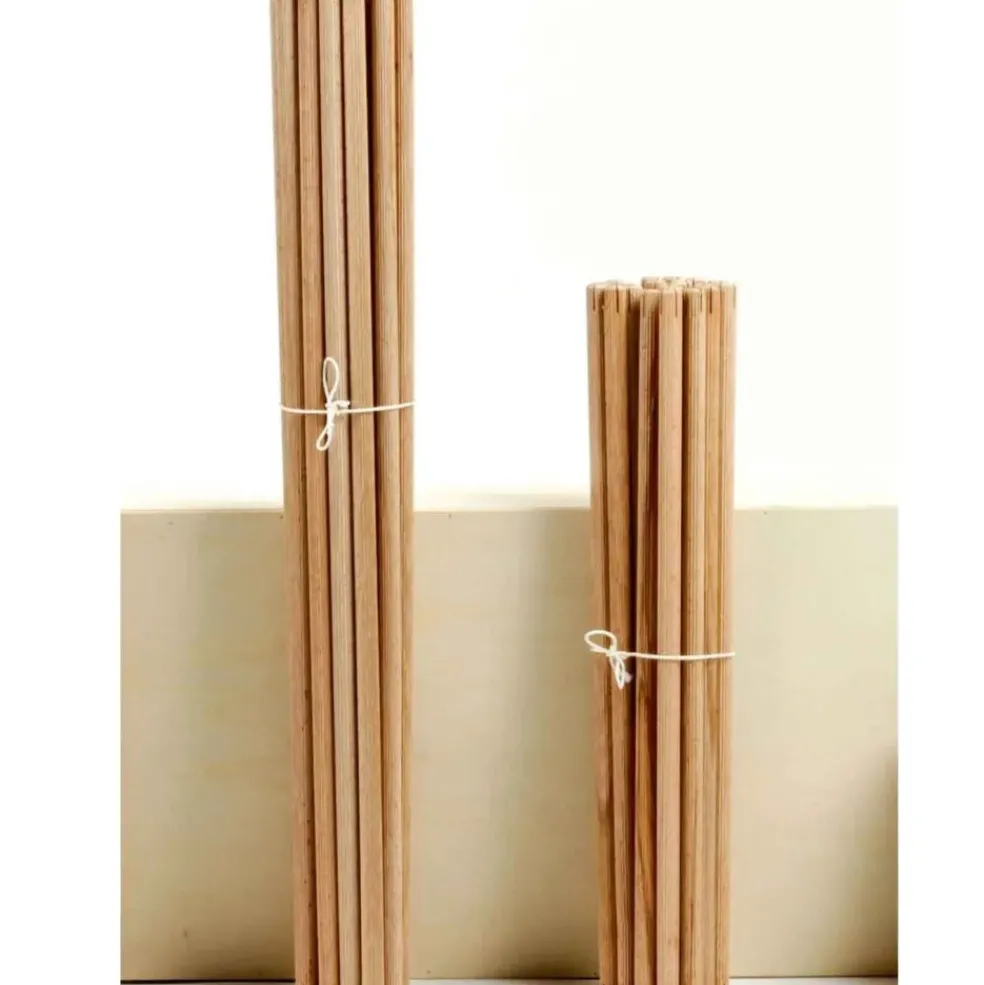 Jeu de construction géant en bois Trigonos Family Boîte carton Fabriqué en Espagne - 79 pces bleu