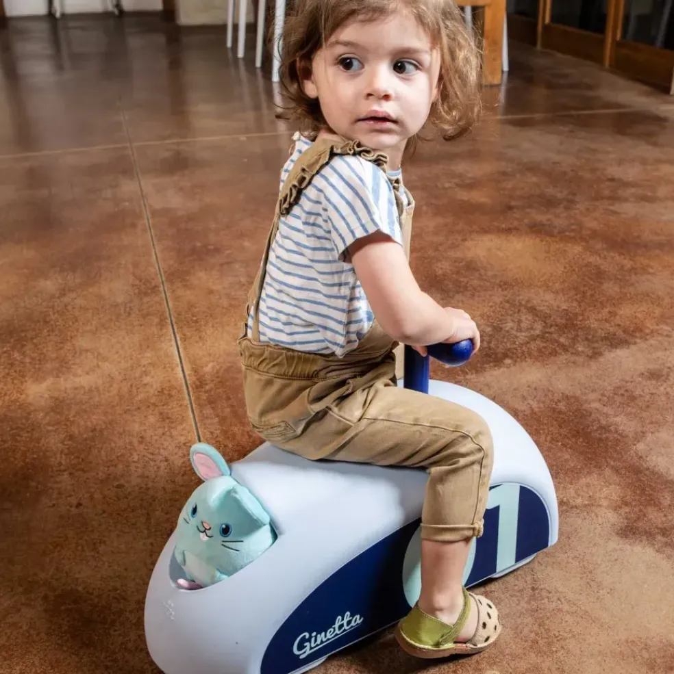 Porteur Ginetta Bleu Italtrike