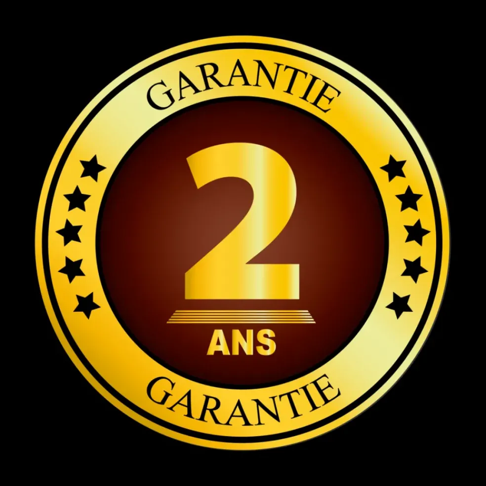 Portique métal noir 2 balançoires Axi