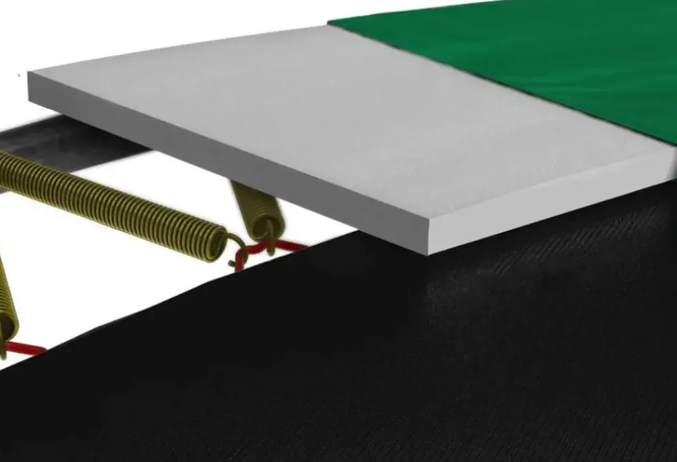 Trampoline 330 cm gris BERG Champion et filet + Echelle offerte